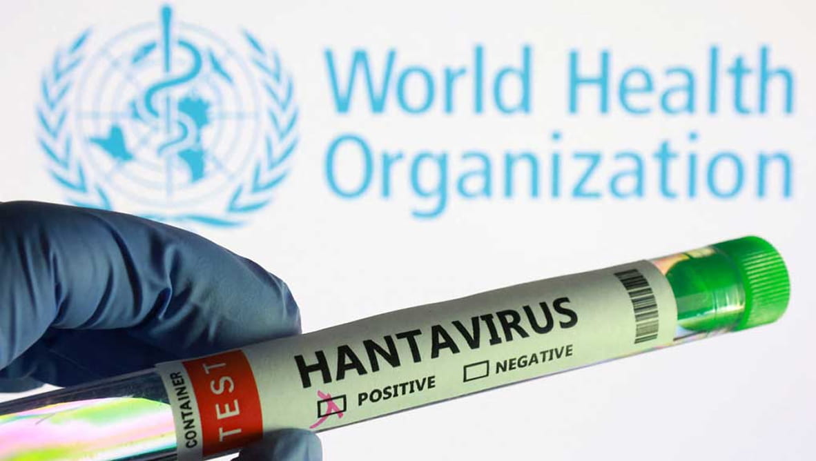 Hantavirus transmission, MV Hondius, South Africa cruise ship, CDC hantavirus report, cruise ship outbreak