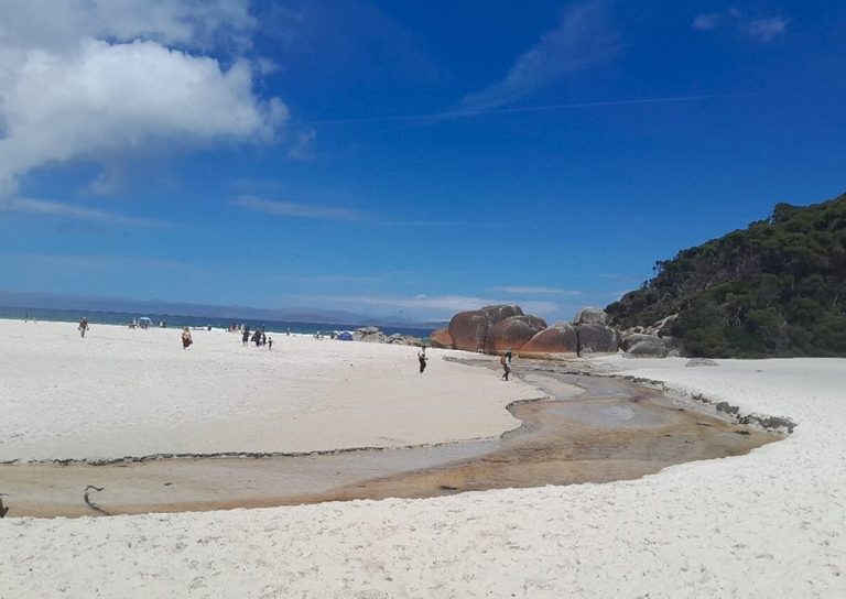 Squeaky Beach 1